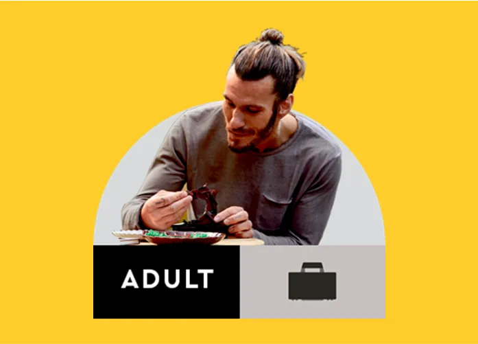 LEGO AGE ADULT