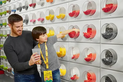 LDC Pick A Brick Wall